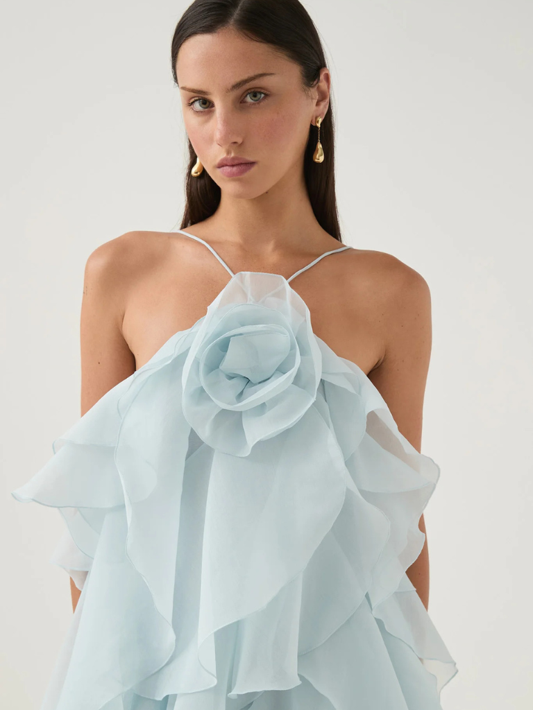 ROSE RÊVERIE MAXI DRESS